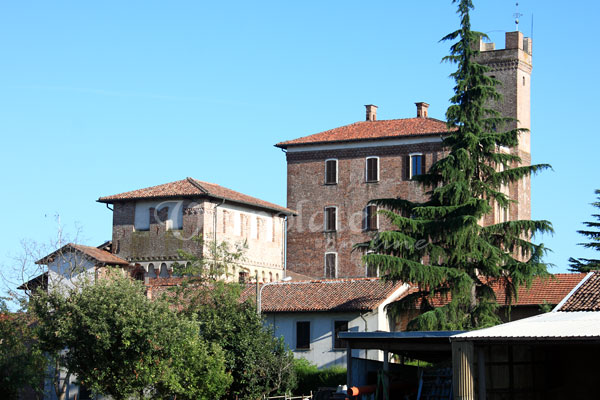 Foto di Alessandro Vecchi